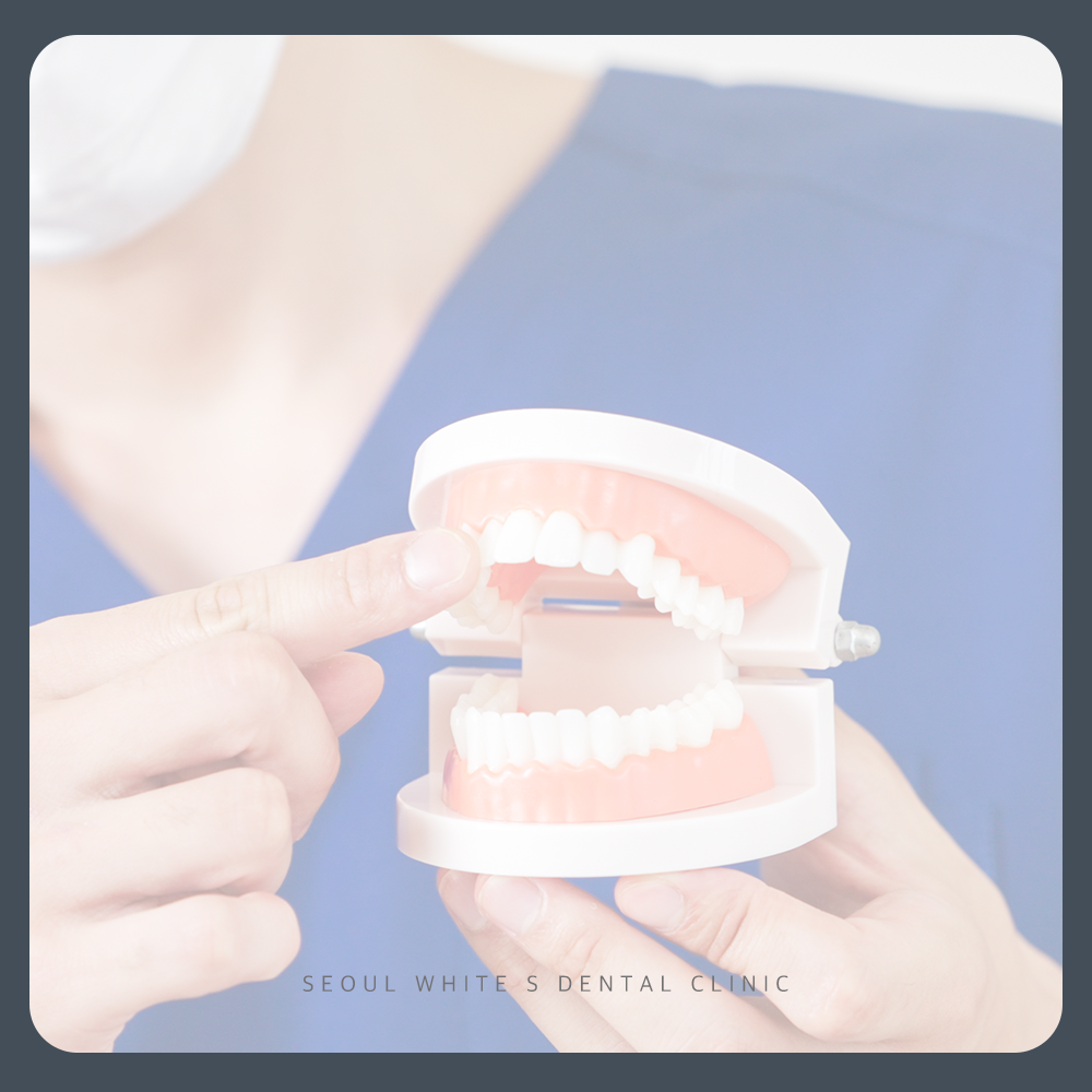 영도구치과추천