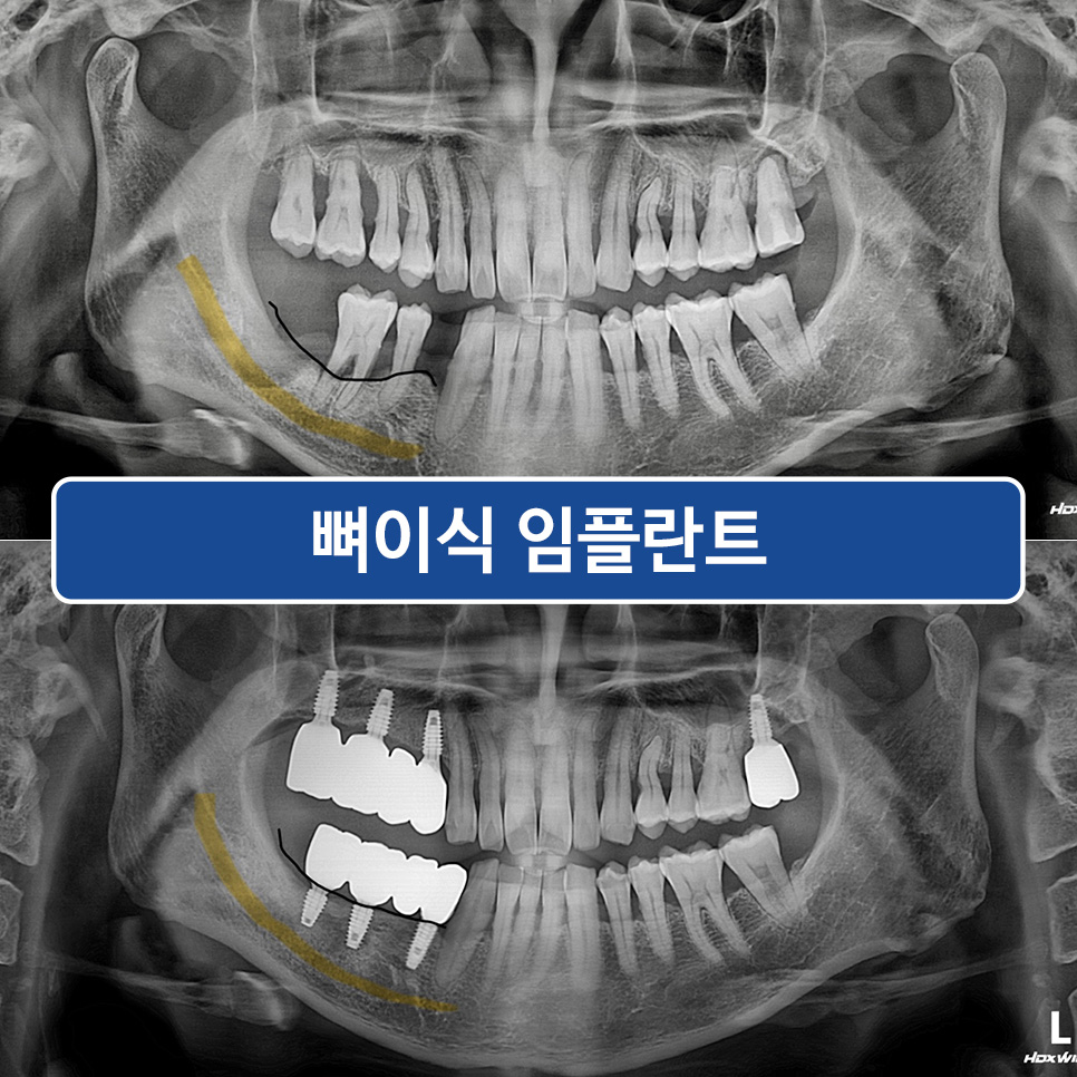 영도치과