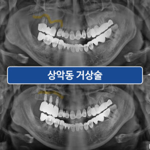 영도치과
